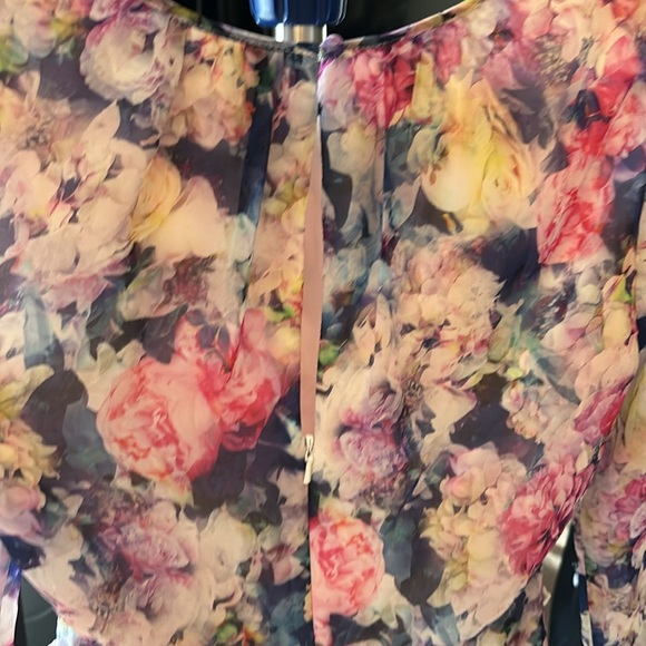 Ever New Floral dress size 2 - Picture 4 of 6